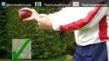 How to Bowl fast & Swing cricket ball...Tips and Tricks!