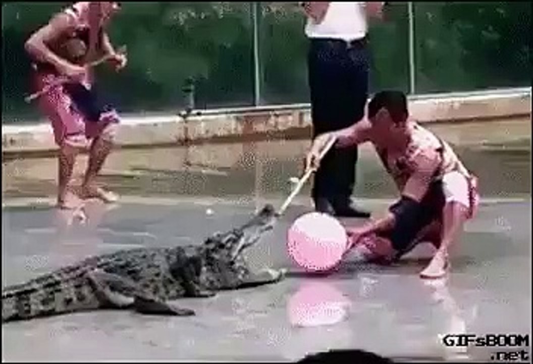 Fail Crocodile Show