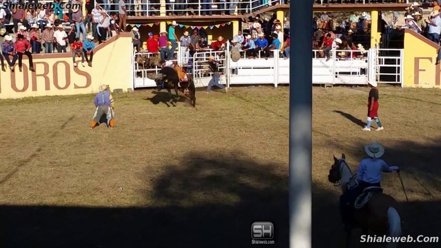 JARIPEO RANCHERO EN VILLA JUAREZ SAN LUIS POTOSI MEXICO Y SAN MARTIN DE RIO VERDE SLP BUENAS MONTAS Y TOROS NOVIEMBRE 2015