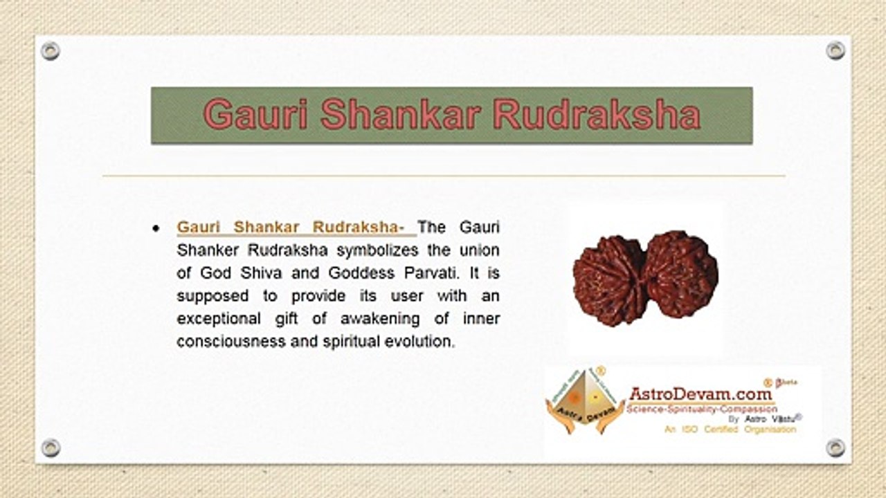 Rudraksha- A Powerful bead given by Lord Shiva
