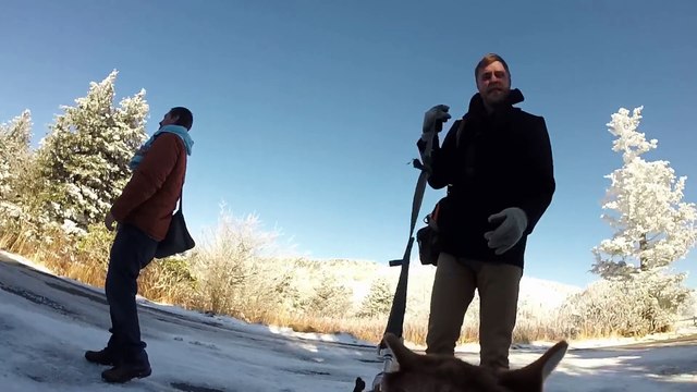 Mariage vu par un chien filmé avec un Gopro sur son dos... Magique