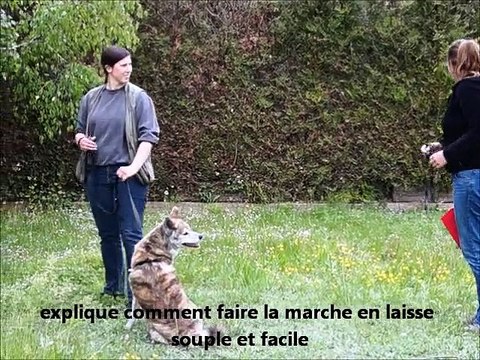 Amandine et Christelle s'exercent en formation d'éducateur canin