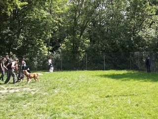 En séance collective : on joue (encore) !