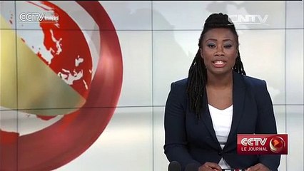 Climat en Chine : tempêtes de neige au nord et température exceptionnellement élevée au sud