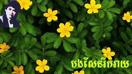 Bong Sen Reek Reay Keo Sarath old video music mp3
