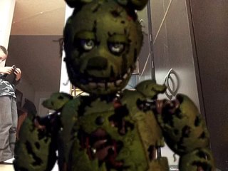 spring trap vlogs