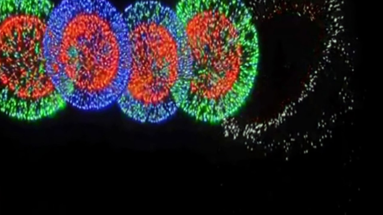 bắn pháo hoa ở thiên trường nam định đẹp