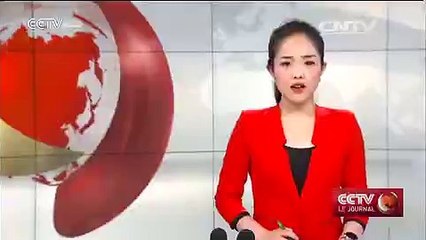 Attentat au Mali : les enquêteurs suivent plusieurs pistes