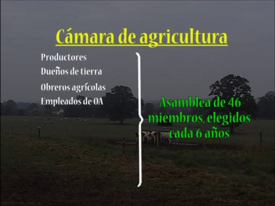 PIA-Cuba-Francia_Representacion-productores-franceses