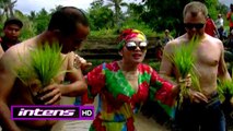 Turun ke Sawah, Syahrini Tetap Modis - Intens 24 November 2015