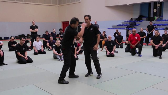 Stage Krav Maga avec Gaby Michaeli (Nov. 2015)