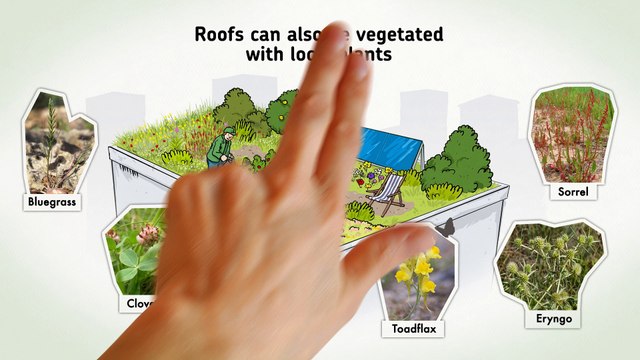 Climate : Nature-based solutions for climate change mitigation and adaptation in Paris Region