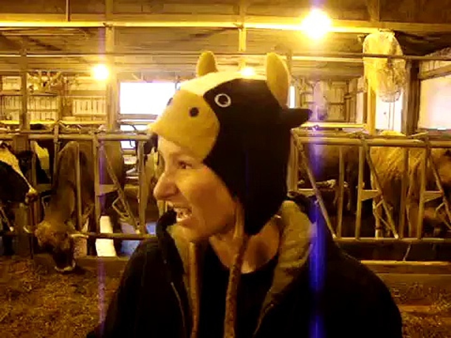 ⁣Veterinary medicine & Cattle videos