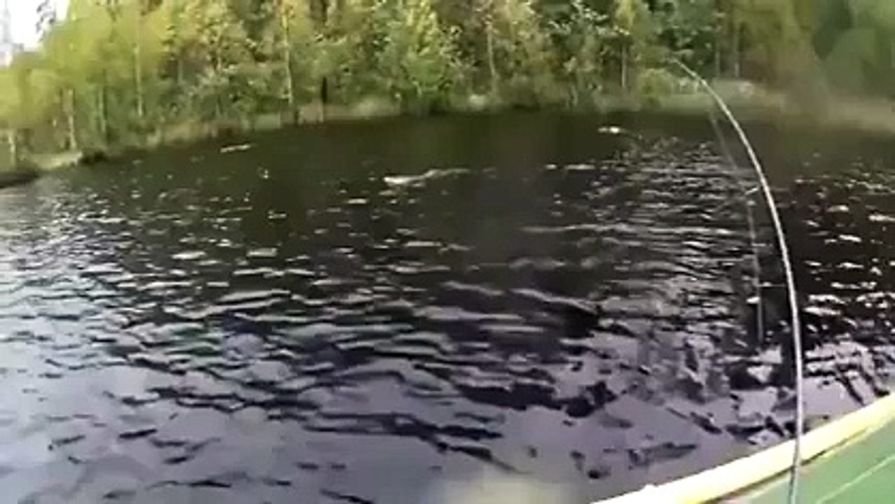 Fish Vs Hunter Amazing Fighting