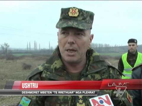 Shkodër, ushtria pastron mbeturinat në rrugë - News, Lajme - Vizion Plus