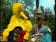 Sesame Street Big Bird, Rosita and Elmo Play Family