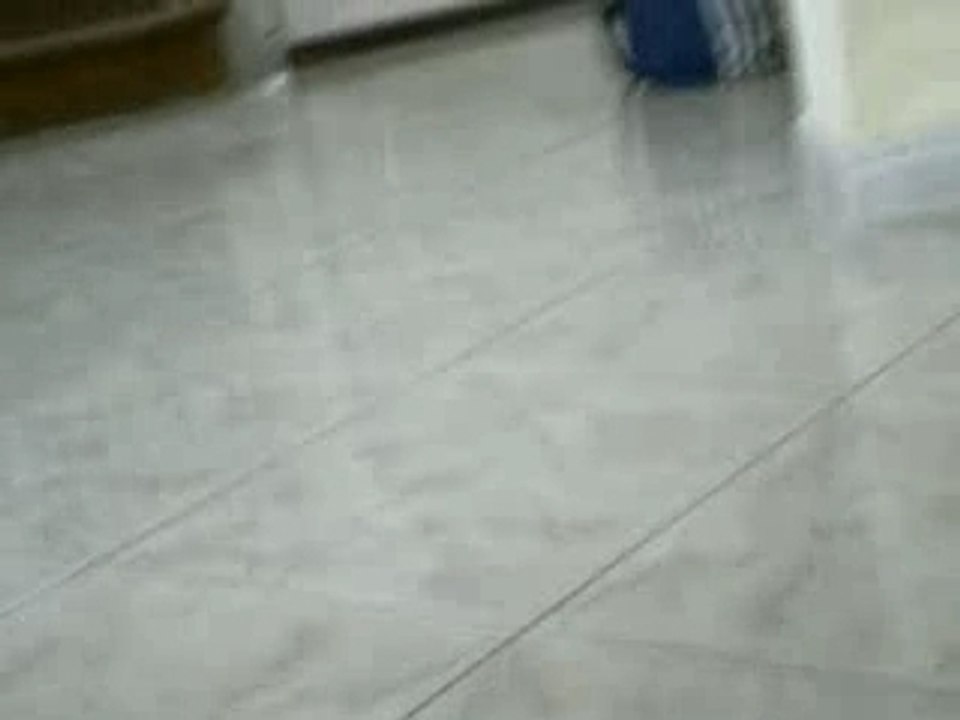 IMGP1146