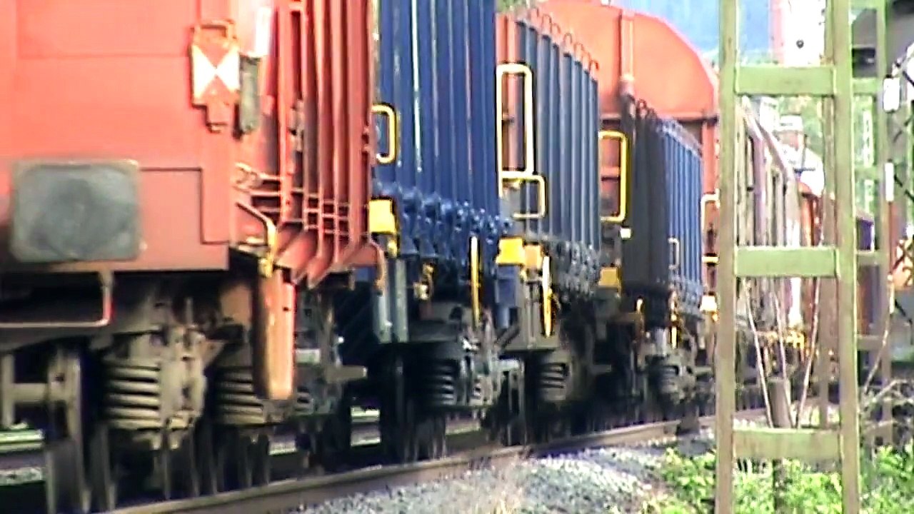 Züge bei Bad Hönningen am Rhein, Class 66, SNCF Prima, 3x Railion 185, 2x 143, 4x 425