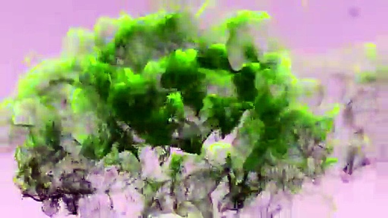 Motivational Speech Steve Jobs Speech