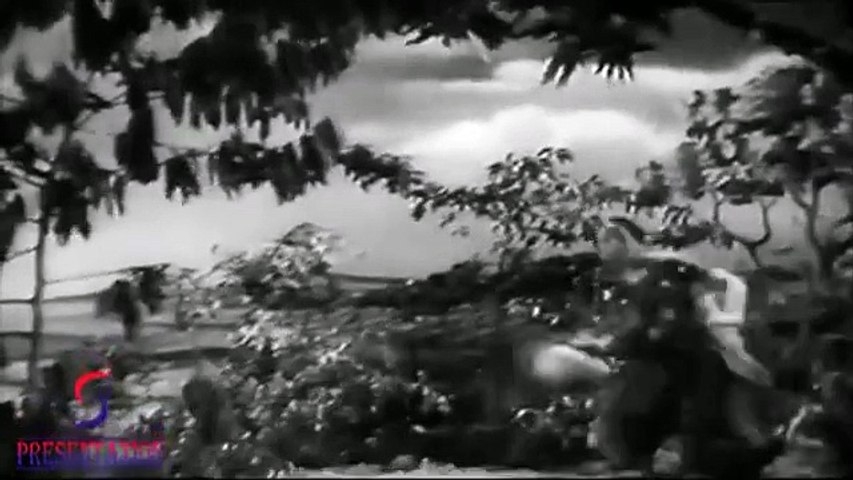 Aayi Bairan Bahaar - Baradari