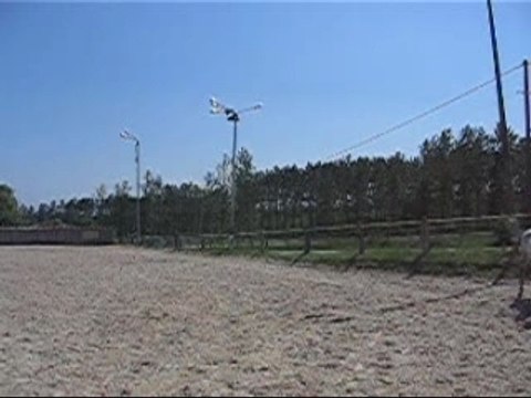 epaule en dedans cercle