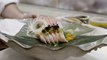 Eat. Stay. Love. | Presented by Edward Jones - Tojo's: Innovative Sushi and Japanese Fare in Vancouver