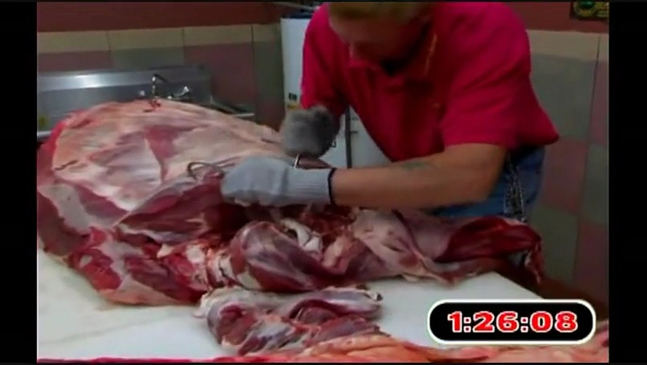 Whole Cow Processed in under 12 minutes!