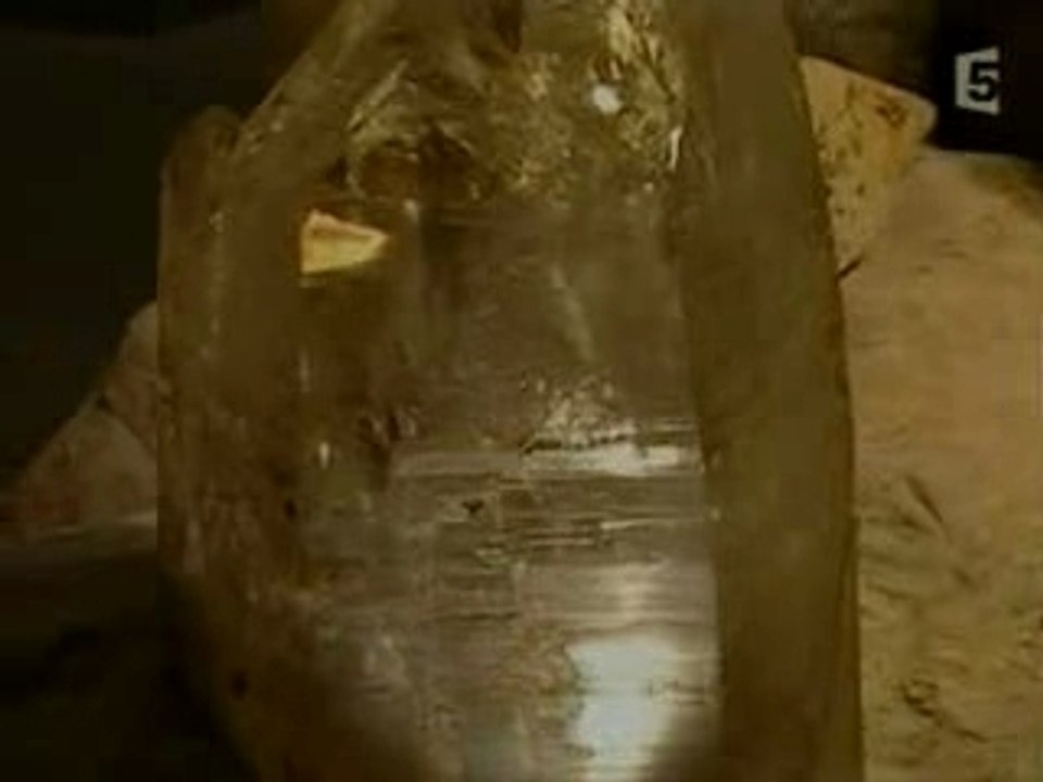 Mutations et metamorphoses 1/2