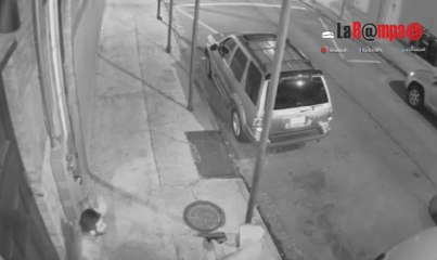New Orleans. Rapina a mano armata, ladro spara ad un ragazzo