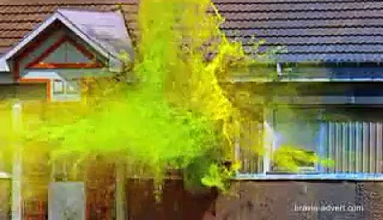 The Colours