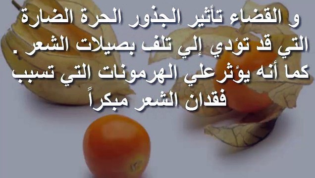 فوائد الحرانكش للحماية من العدوى وفوائد طبية مذهلة