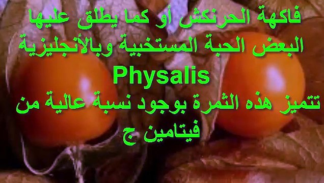 فوائد الحرنكش لمرضى السكري وفوائد اخرى مذهلة