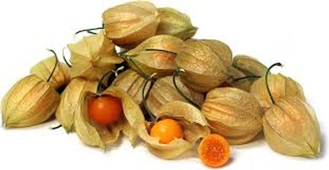 فوائد الحرنكش لمكافحة الشيخوخة وتحسين الشهية