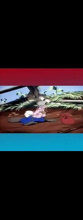 ANIMATION vidéo