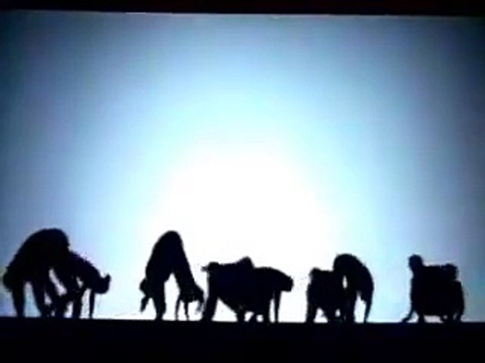 Shadow Performance...............................