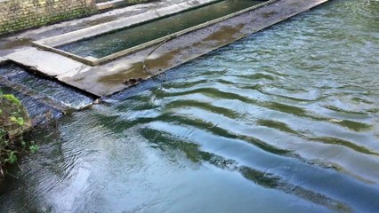 La Sèvres niortaise