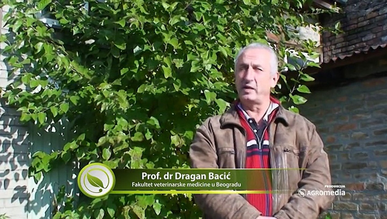 Ima li razloga da strahujemo zbog pojave šuštavca_424_31.10.2015.