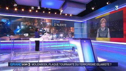 Belgique : "Nous ne pouvons pas agir seuls", reconnaît la maire de Molenbeek