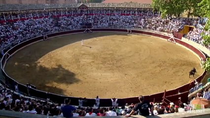 Enraged Bull Leaps into Stands _ World's Scariest Animal Attacks