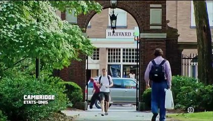 L'animal est une personne Perroquets