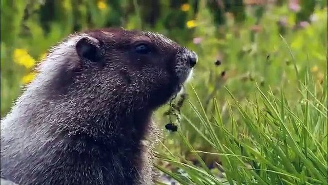 xsplit-broadcaster Live auto-rec test (AUTO-RECORD) (2015-11-24 15:56:49 - 2015-11-24 16:04:36)