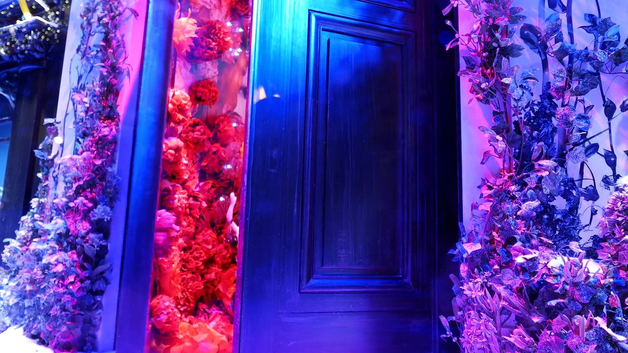 A Christmas Tale in the windows of the Printemps!