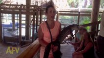 Woman Afraid To Hold Baby Alligator - Hilarious reaction