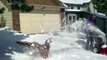 Dogs Enjoying The First Snowfall Of The Year - hilarious pet compilation