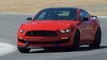 Essai Shelby GT 350R Mustang 2015