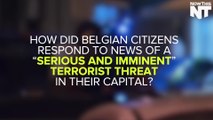 Belgians Use Cat Memes To Confuse Terrorists