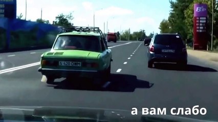 Корова в машине Запорожец на автобане. ШОК!