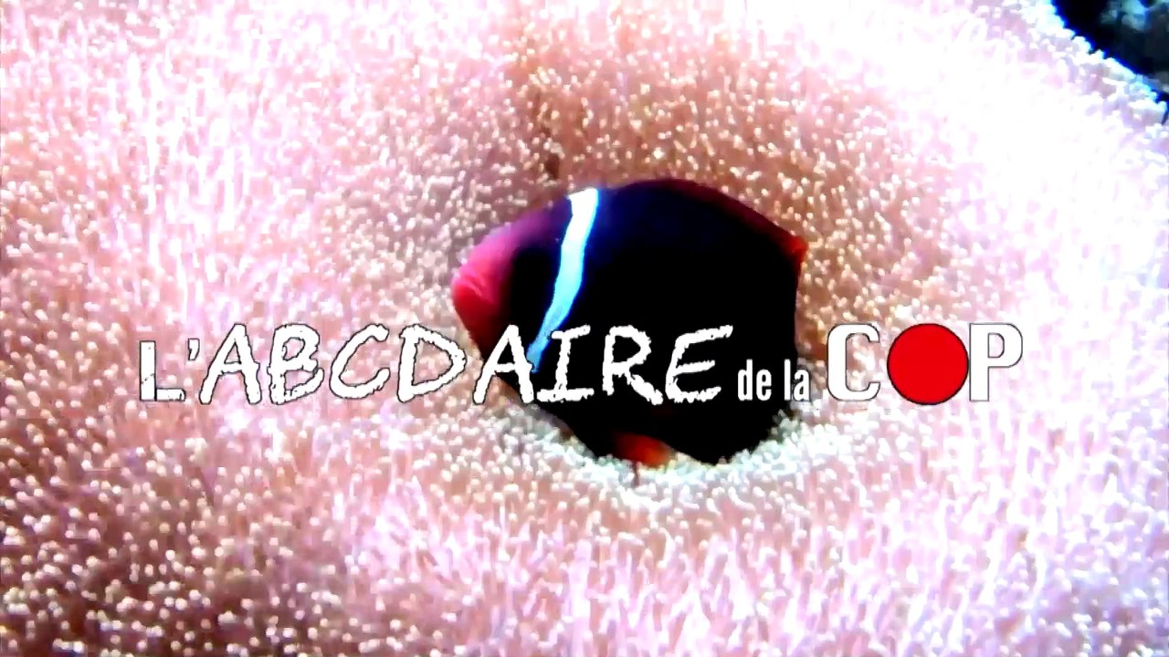 L'ABCDAIRE DE LA COP - VERS SOLIDAIRES