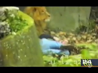 Top 10 Animal Attacks on Human of All Time