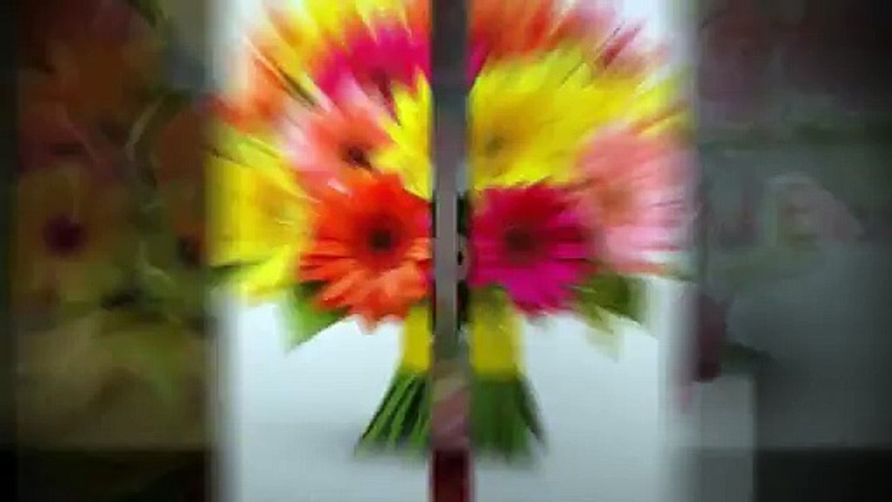 Bloomsbay_India